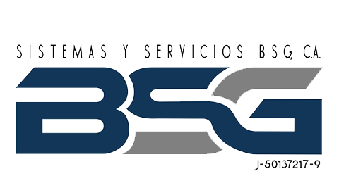 Sistemas y servicios BSG